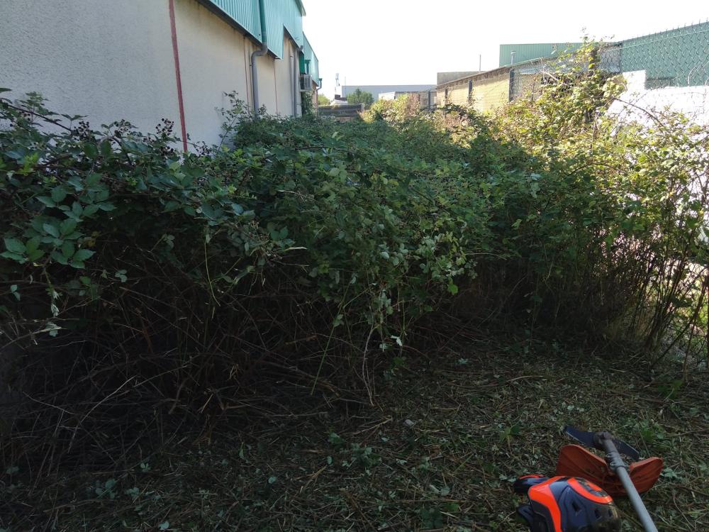 Débroussaillage près de Génissieux