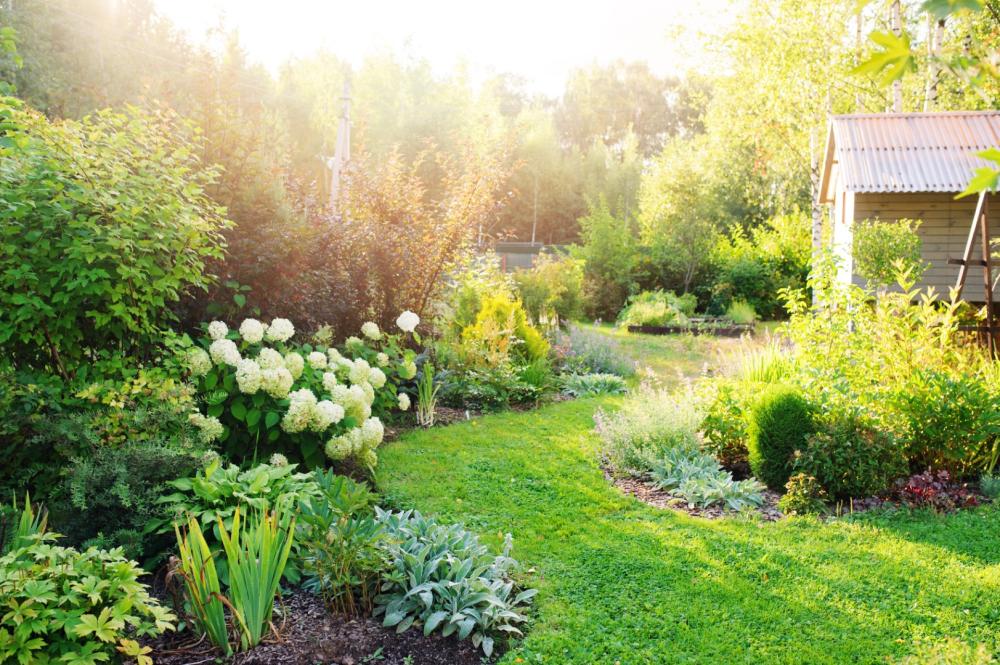 Entretien de jardin près de Génissieux